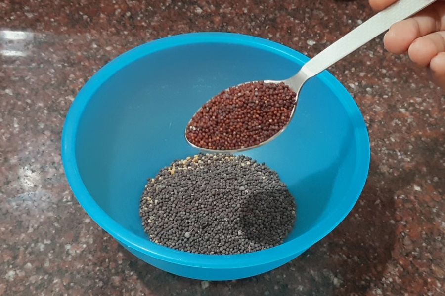 Ilish Bhapa 01