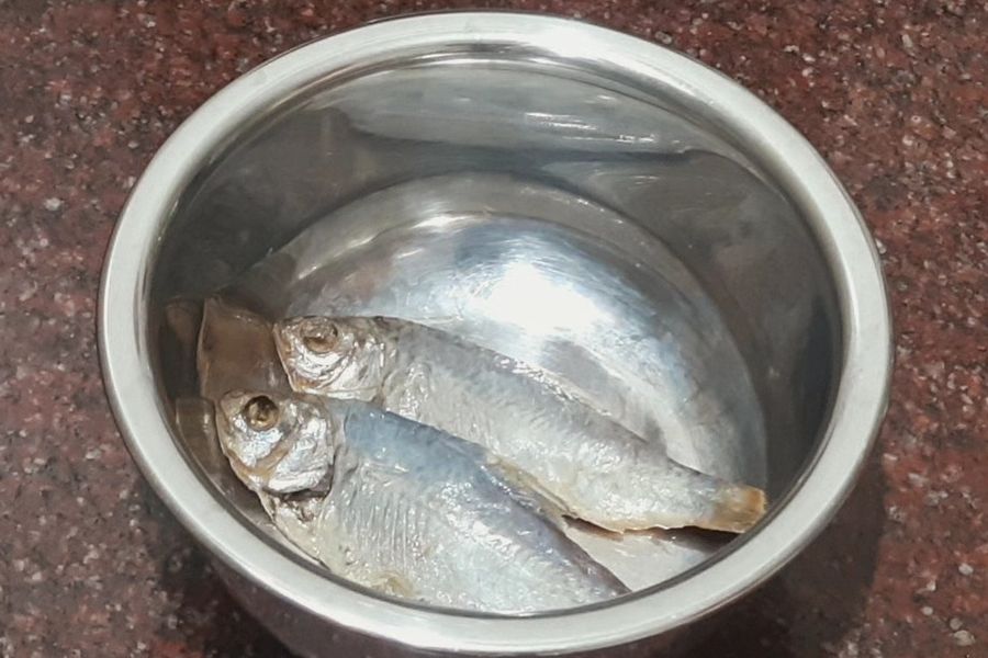 Shidol Chutney 04