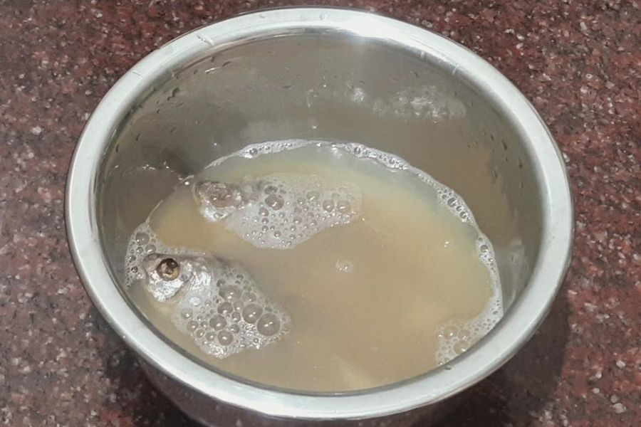 Shidol Chutney 05